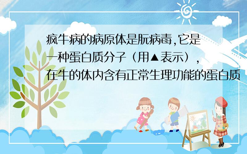 疯牛病的病原体是朊病毒,它是一种蛋白质分子（用▲表示）,在牛的体内含有正常生理功能的蛋白质（用◆表示）,如图表示朊病毒增殖过程：▲→▲＋◆→▲▲＋◆◆→▲▲▲▲＋◆◆◆◆