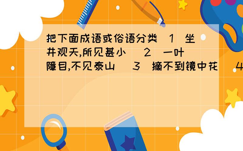 把下面成语或俗语分类（1）坐井观天,所见甚小 （2）一叶障目,不见泰山 （3）摘不到镜中花 （4）管中窥豹,只见一斑 （5)捞不到水中月 （6）形影不离说明分类理由