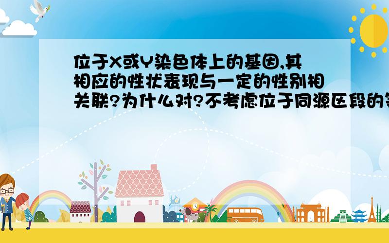 位于X或Y染色体上的基因,其相应的性状表现与一定的性别相关联?为什么对?不考虑位于同源区段的等位基因吗