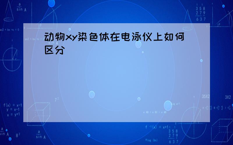 动物xy染色体在电泳仪上如何区分