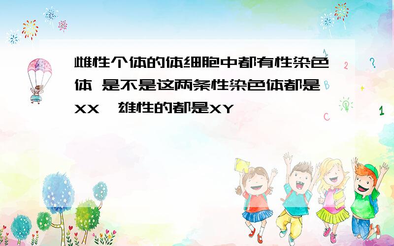 雌性个体的体细胞中都有性染色体 是不是这两条性染色体都是XX,雄性的都是XY