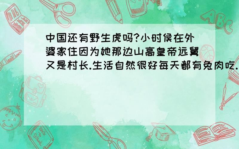 中国还有野生虎吗?小时侯在外婆家住因为她那边山高皇帝远舅又是村长.生活自然很好每天都有兔肉吃.山羊野猪野鸡野狗豹子还有鹿等.记得是79年大老虎打死后有两只小老虎是从老虎穴抱回