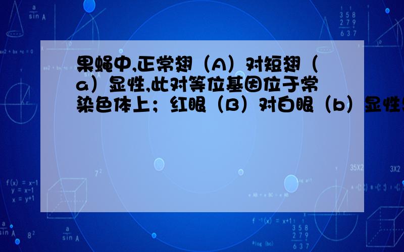 果蝇中,正常翅（A）对短翅（a）显性,此对等位基因位于常染色体上；红眼（B）对白眼（b）显性果蝇中,正常翅（A）对短翅（a）显性,此对等位基因位于常染色体上；红眼（B）对白眼（b）显