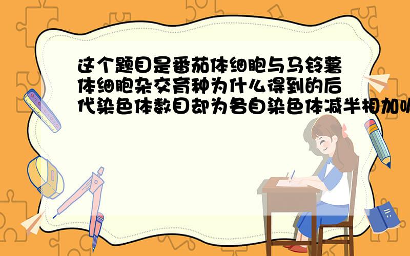 这个题目是番茄体细胞与马铃薯体细胞杂交育种为什么得到的后代染色体数目却为各自染色体减半相加呢