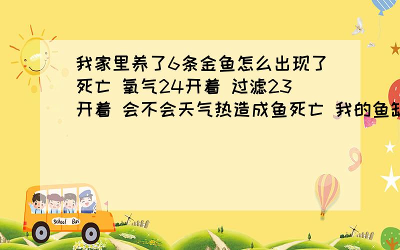 我家里养了6条金鱼怎么出现了死亡 氧气24开着 过滤23开着 会不会天气热造成鱼死亡 我的鱼缸温度是30度我们最近室外都是32度34° 鱼缸温度是30°怎么会出现鱼死亡呢?