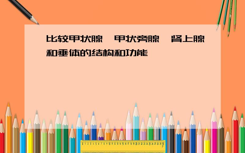 比较甲状腺、甲状旁腺、肾上腺和垂体的结构和功能