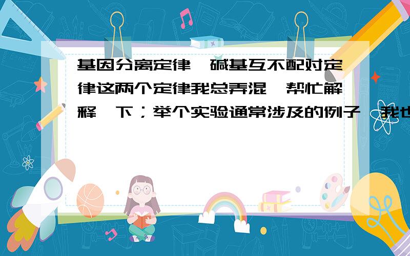 基因分离定律、碱基互不配对定律这两个定律我总弄混,帮忙解释一下；举个实验通常涉及的例子,我也好记.