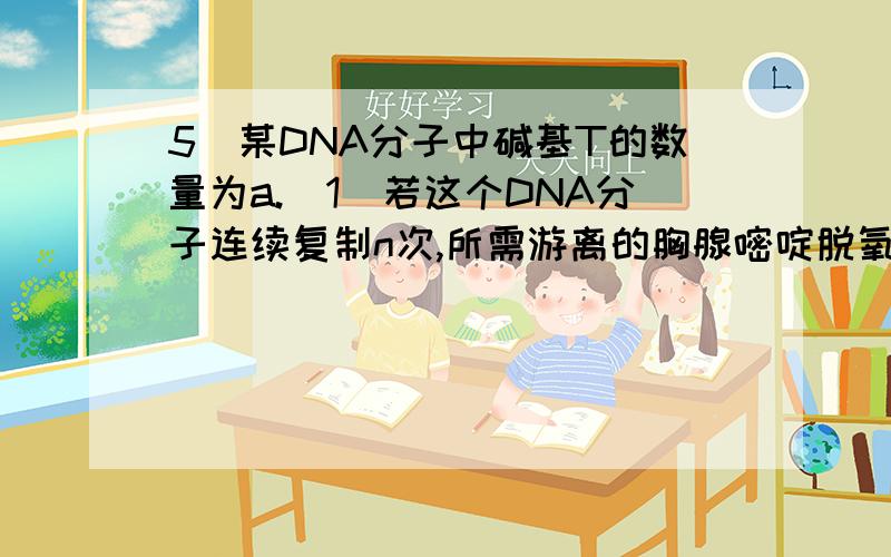 5．某DNA分子中碱基T的数量为a.（1）若这个DNA分子连续复制n次,所需游离的胸腺嘧啶脱氧核苷酸数为_______________.（2）第n次复制所需游离的胸腺嘧啶脱氧核苷酸数为_______.