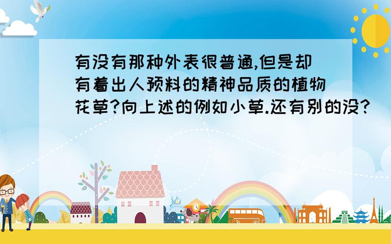 有没有那种外表很普通,但是却有着出人预料的精神品质的植物花草?向上述的例如小草.还有别的没?