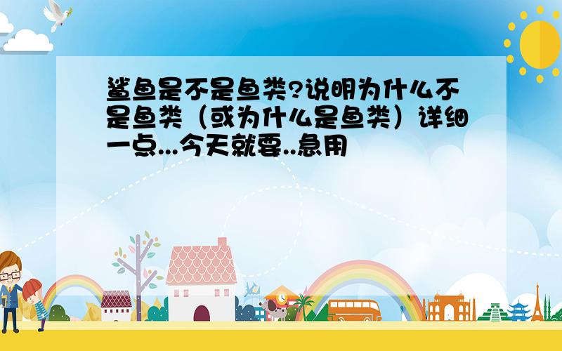 鲨鱼是不是鱼类?说明为什么不是鱼类（或为什么是鱼类）详细一点...今天就要..急用