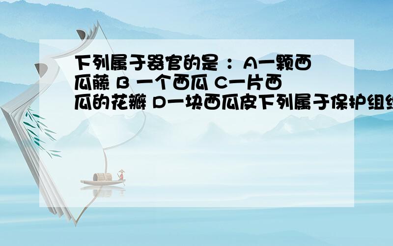 下列属于器官的是 ：A一颗西瓜藤 B 一个西瓜 C一片西瓜的花瓣 D一块西瓜皮下列属于保护组织的有 1 果皮 2 果肉 3皮肤的表皮 4血液 5甘蔗茎上的表皮