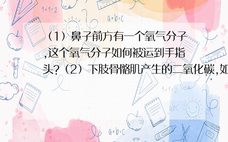 （1）鼻子前方有一个氧气分子,这个氧气分子如何被运到手指头?（2）下肢骨骼肌产生的二氧化碳,如何被运到肺部?用XX→XX→XX→XX……的形式写出