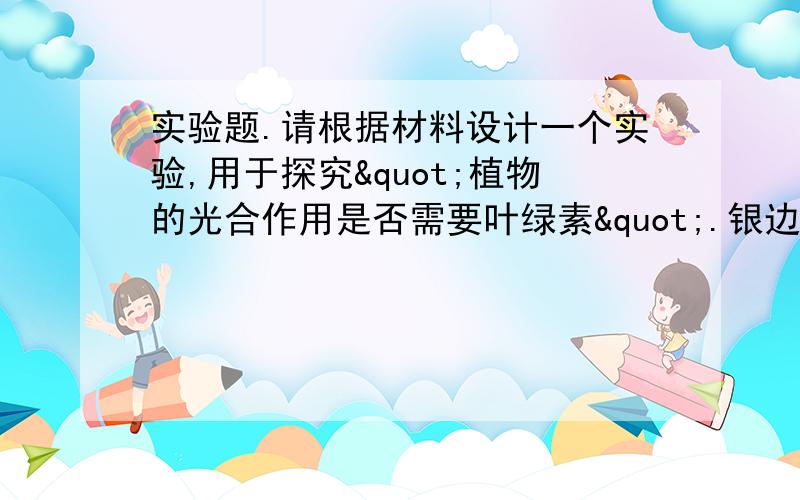 实验题.请根据材料设计一个实验,用于探究"植物的光合作用是否需要叶绿素".银边天竺葵的叶片边缘部分因没有叶绿素而现银白色.现有如下实验材料和用具:银边天竺葵两盆,厚纸箱2个