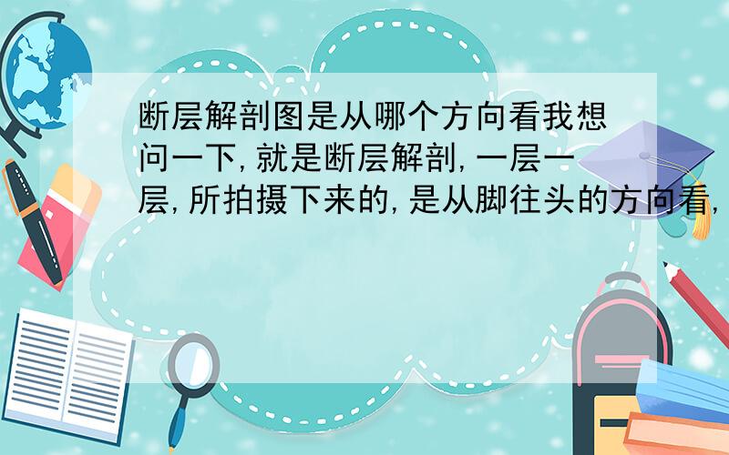 断层解剖图是从哪个方向看我想问一下,就是断层解剖,一层一层,所拍摄下来的,是从脚往头的方向看,还是从头到脚从上面看.