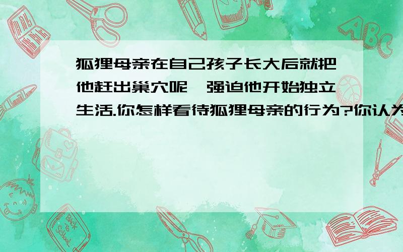 狐狸母亲在自己孩子长大后就把他赶出巢穴呢,强迫他开始独立生活.你怎样看待狐狸母亲的行为?你认为理智的母爱应该是怎样的?