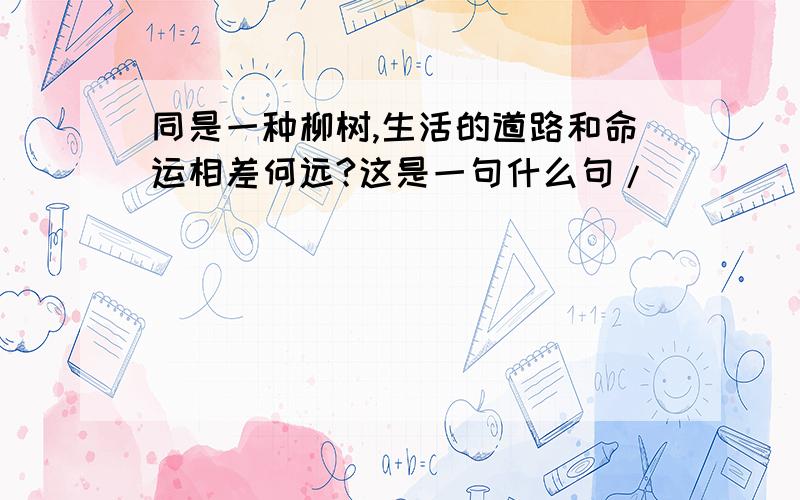 同是一种柳树,生活的道路和命运相差何远?这是一句什么句/