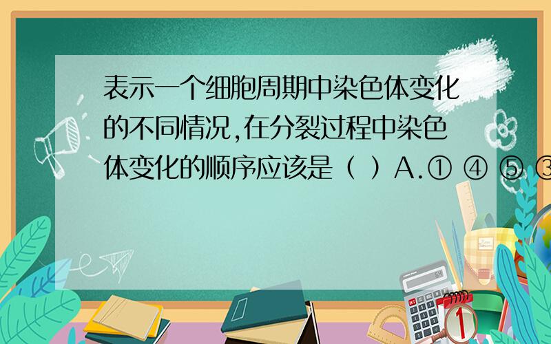 表示一个细胞周期中染色体变化的不同情况,在分裂过程中染色体变化的顺序应该是（ ）A.① ④ ⑤ ③ ② B.② ③ ① ④ ⑤ C.① ⑤ ④ ② ③ D.⑤ ④ ③ ② ①