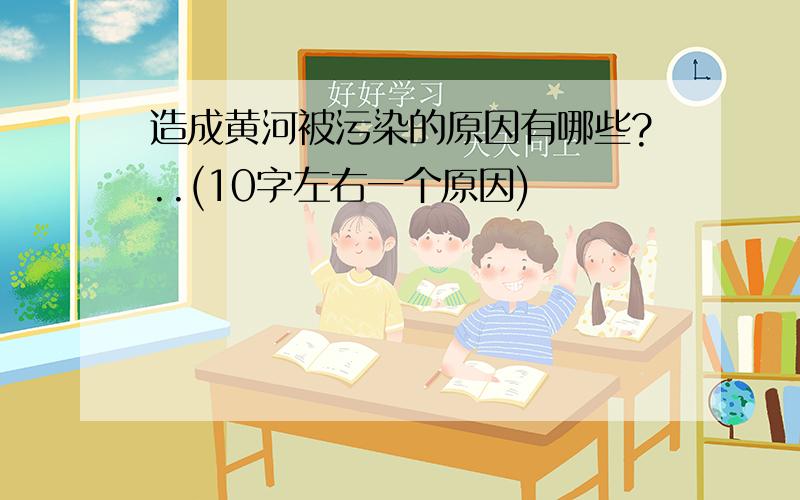 造成黄河被污染的原因有哪些?..(10字左右一个原因)