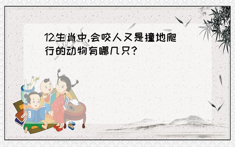 12生肖中,会咬人又是撞地爬行的动物有哪几只?