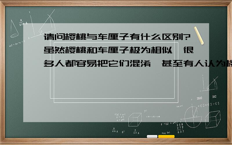 请问樱桃与车厘子有什么区别?虽然樱桃和车厘子极为相似,很多人都容易把它们混淆,甚至有人认为樱桃和车厘子是同一种水果,但是,本人却认为,樱桃和车厘子是完全不同的两种水果来的.以本