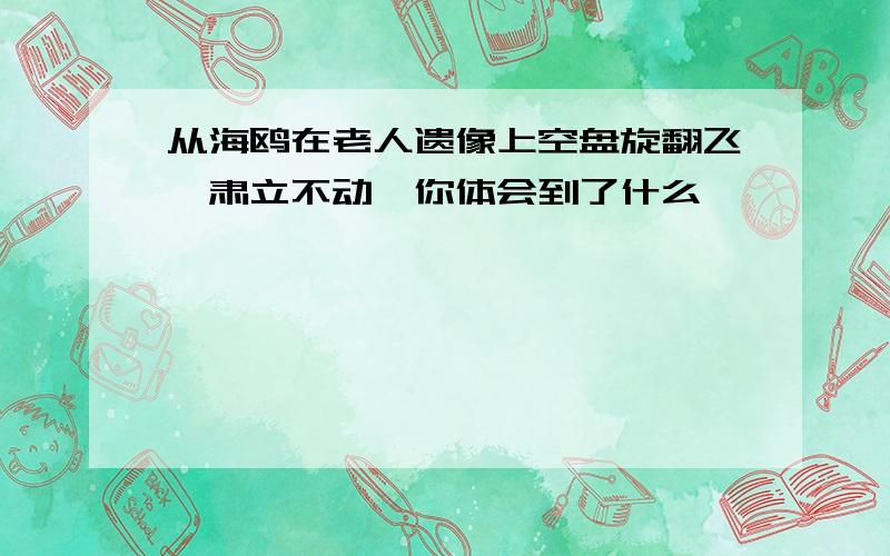 从海鸥在老人遗像上空盘旋翻飞、肃立不动,你体会到了什么