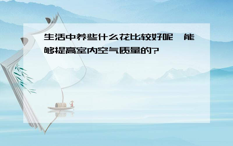 生活中养些什么花比较好呢,能够提高室内空气质量的?