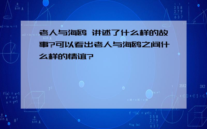 老人与海鸥 讲述了什么样的故事?可以看出老人与海鸥之间什么样的情谊?