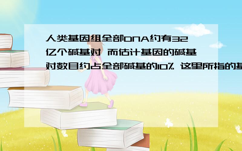 人类基因组全部DNA约有32亿个碱基对 而估计基因的碱基对数目约占全部碱基的10% 这里所指的基因是什么?A.编码区与非编码区 B.外显子和内含子 C.蛋白质编码基因 D.其调控作用的基因