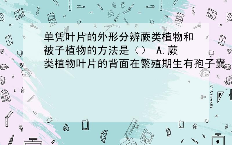 单凭叶片的外形分辨蕨类植物和被子植物的方法是（） A.蕨类植物叶片的背面在繁殖期生有孢子囊 B.蕨单凭叶片的外形分辨蕨类植物和被子植物的方法是（）A.蕨类植物叶片的背面在繁殖期