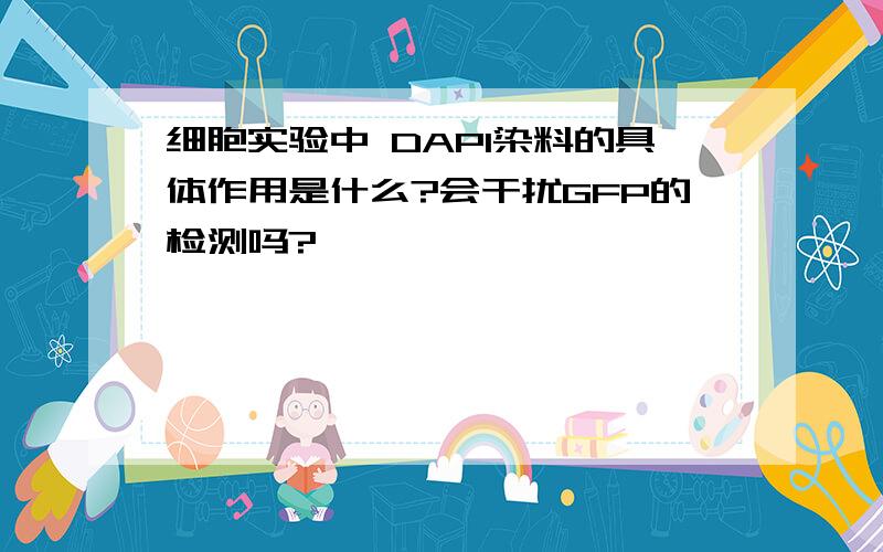 细胞实验中 DAPI染料的具体作用是什么?会干扰GFP的检测吗?