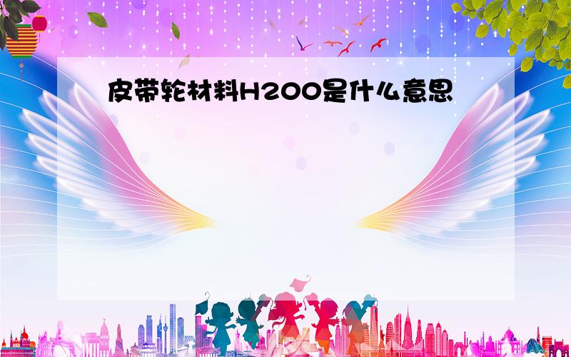 皮带轮材料H200是什么意思