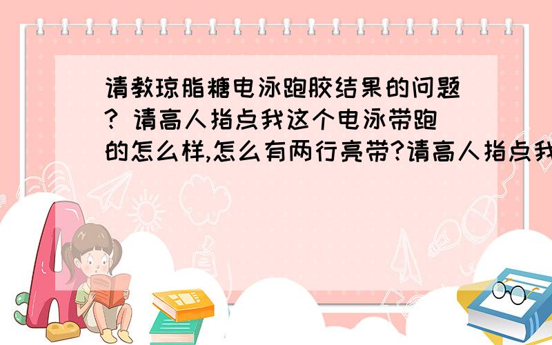 请教琼脂糖电泳跑胶结果的问题? 请高人指点我这个电泳带跑的怎么样,怎么有两行亮带?请高人指点我这个电泳带跑的怎么样,怎么有两行亮带?而且每条条带怎么不是规矩的方形亮带啊?这个能