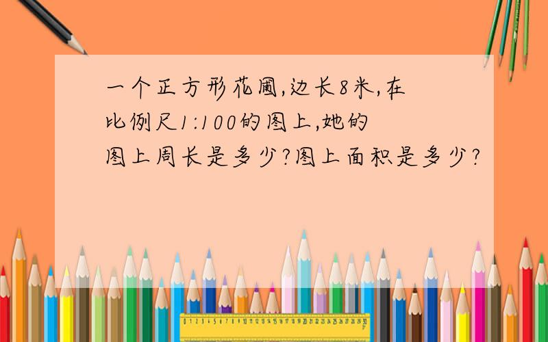 一个正方形花圃,边长8米,在比例尺1:100的图上,她的图上周长是多少?图上面积是多少?