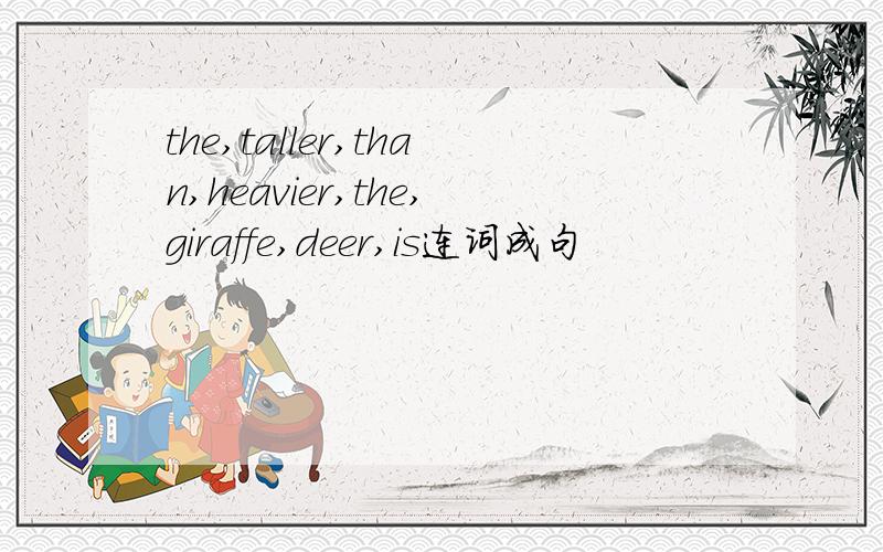 the,taller,than,heavier,the,giraffe,deer,is连词成句