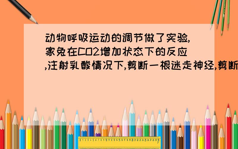 动物呼吸运动的调节做了实验,家兔在CO2增加状态下的反应,注射乳酸情况下,剪断一根迷走神经,剪断两根迷走神经和缺氧状况下分别有什么状况发生啊?为什么呢?希望给我答案...一定要具体点