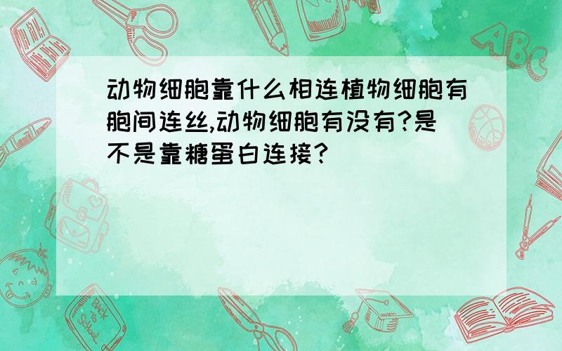 动物细胞靠什么相连植物细胞有胞间连丝,动物细胞有没有?是不是靠糖蛋白连接?