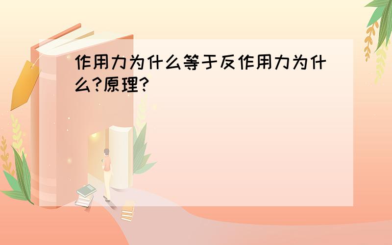 作用力为什么等于反作用力为什么?原理?