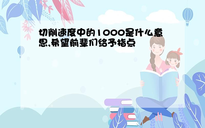 切削速度中的1000是什么意思,希望前辈们给予指点