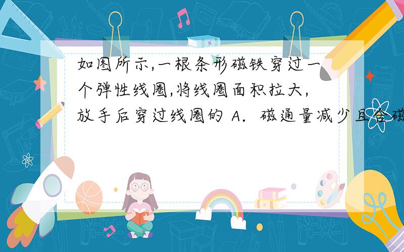 如图所示,一根条形磁铁穿过一个弹性线圈,将线圈面积拉大,放手后穿过线圈的 A．磁通量减少且合磁如图所示,一根条形磁铁穿过一个弹性线圈,将线圈面积拉大,放手后穿过线圈的  A．磁通量