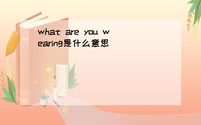 what are you wearing是什么意思
