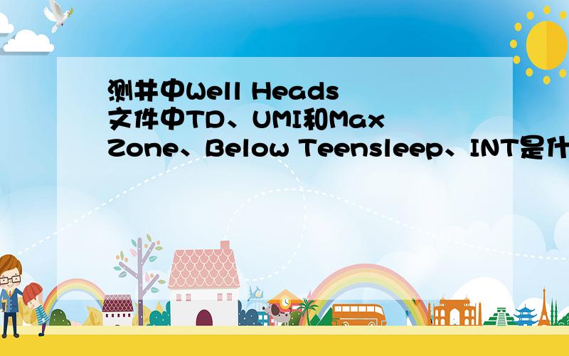 测井中Well Heads 文件中TD、UMI和Max Zone、Below Teensleep、INT是什么意思