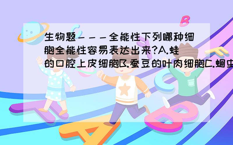 生物题－－－全能性下列哪种细胞全能性容易表达出来?A.蛙的口腔上皮细胞B.蚕豆的叶肉细胞C.蛔虫的受精卵细胞D.人的神经细胞