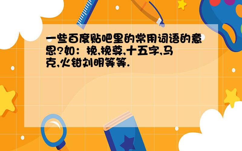 一些百度贴吧里的常用词语的意思?如：挽,挽尊,十五字,马克,火钳刘明等等.