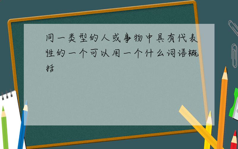 同一类型的人或事物中具有代表性的一个可以用一个什么词语概括