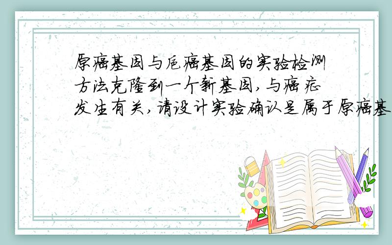 原癌基因与抑癌基因的实验检测方法克隆到一个新基因,与癌症发生有关,请设计实验确认是属于原癌基因还是抑癌基因,说明理由.