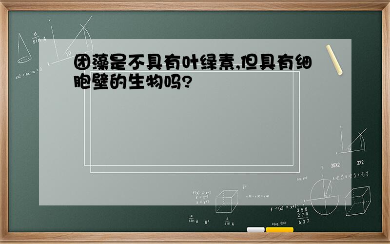 团藻是不具有叶绿素,但具有细胞壁的生物吗?