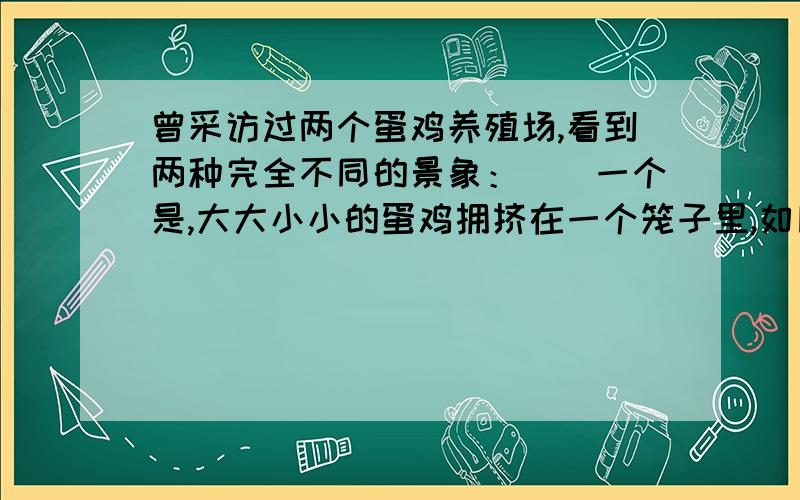 曾采访过两个蛋鸡养殖场,看到两种完全不同的景象：　　一个是,大大小小的蛋鸡拥挤在一个笼子里,如同沙丁鱼罐头,气味刺鼻.为提高产量,饲养棚里用强光控制蛋鸡的作息时间,并大量喂食含