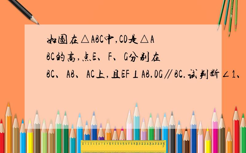 如图在△ABC中,CD是△ABC的高,点E、F、G分别在BC、AB、AC上,且EF⊥AB,DG∥BC.试判断∠1、∠2的数量关系,并说明理由