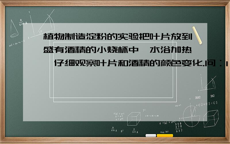植物制造淀粉的实验把叶片放到盛有酒精的小烧杯中,水浴加热,仔细观察叶片和酒精的颜色变化.问：1、加热的目的       2、为什么要把叶绿素弄掉用酒精来溶解叶绿素，是使碘液滴上去，观