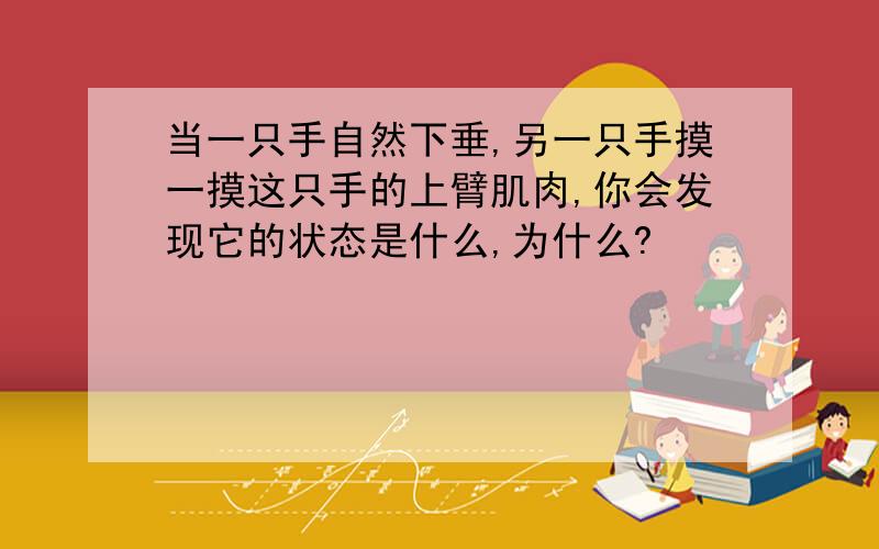 当一只手自然下垂,另一只手摸一摸这只手的上臂肌肉,你会发现它的状态是什么,为什么?